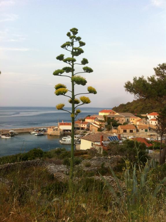 Apartments Katja Mali Lošinj Exterior foto